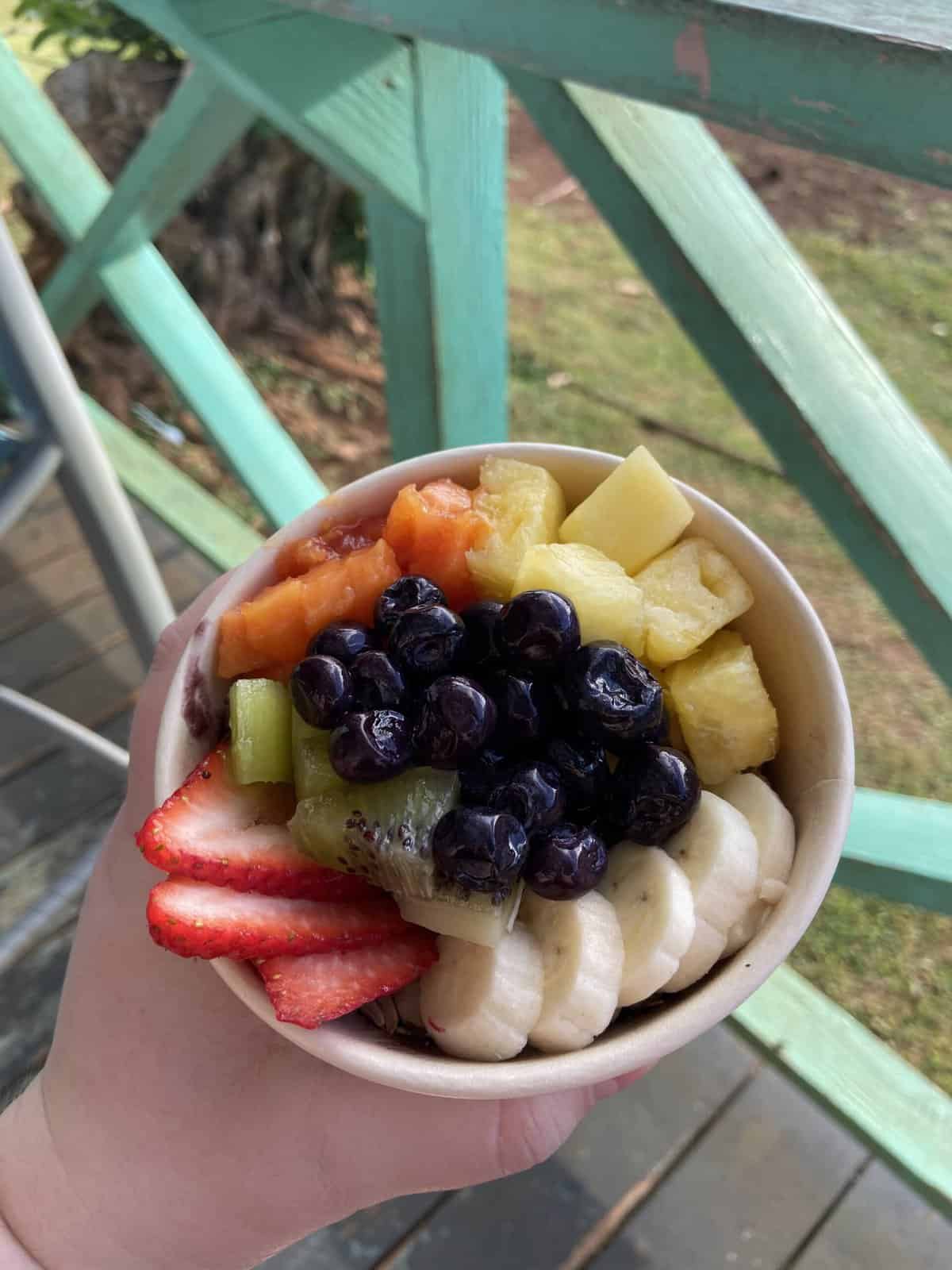 Month in Review: January 2022 7 acai bowl in kauai, hawaii