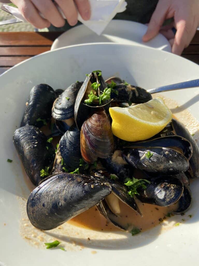 What to Eat in Halifax, Nova Scotia, Canada 26 mussels and a pint at the salt shaker in lunenburg
