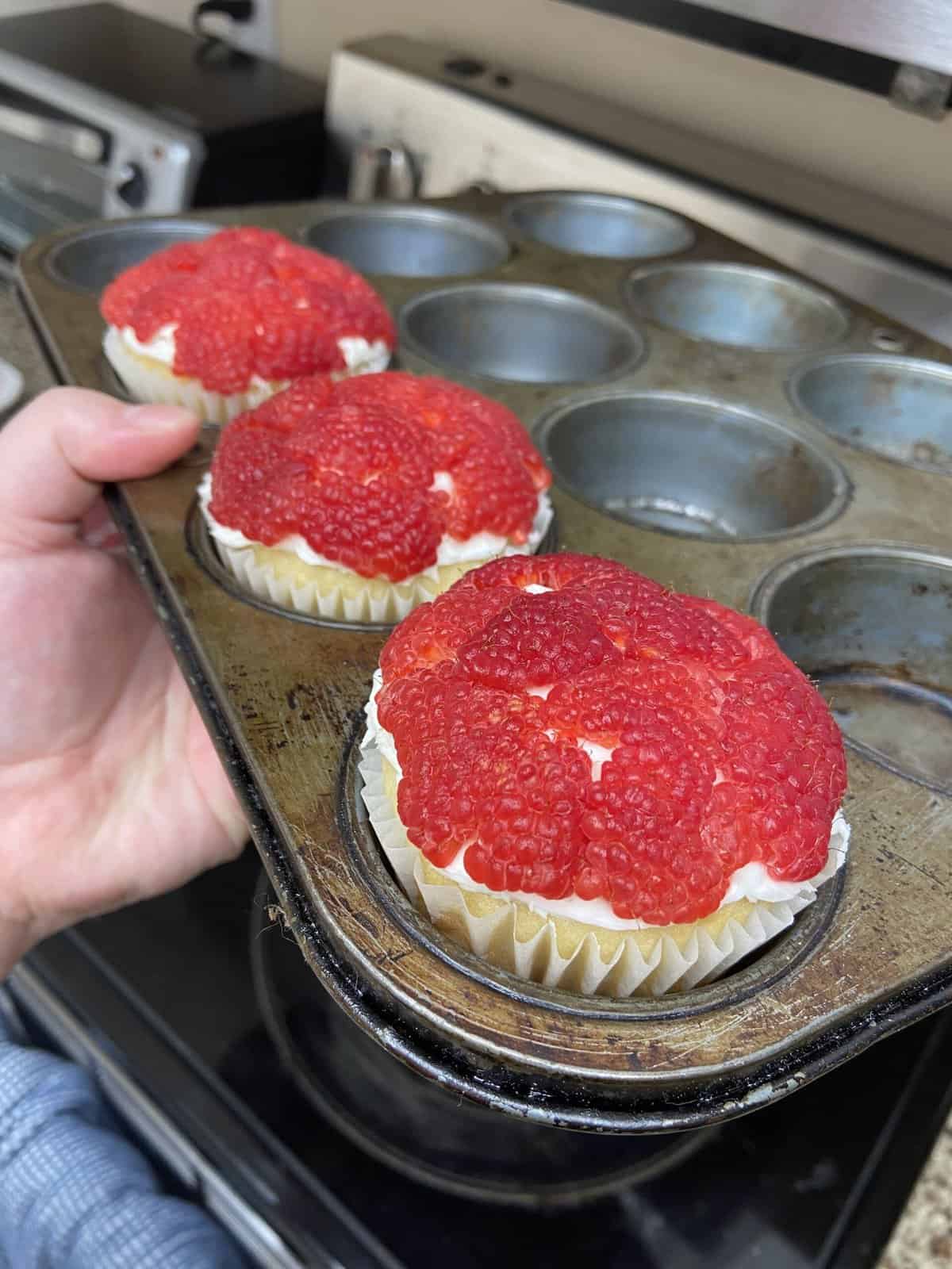 Month in Review: February 2022 8 Vanilla cupcakes with raspberries