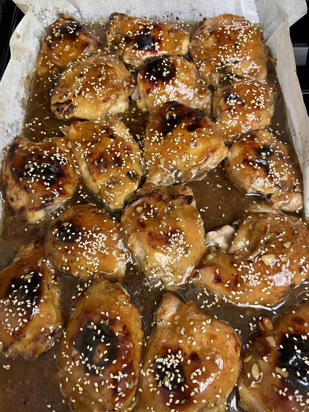 Month in Review: February 2022 6 honey garlic chicken thighs