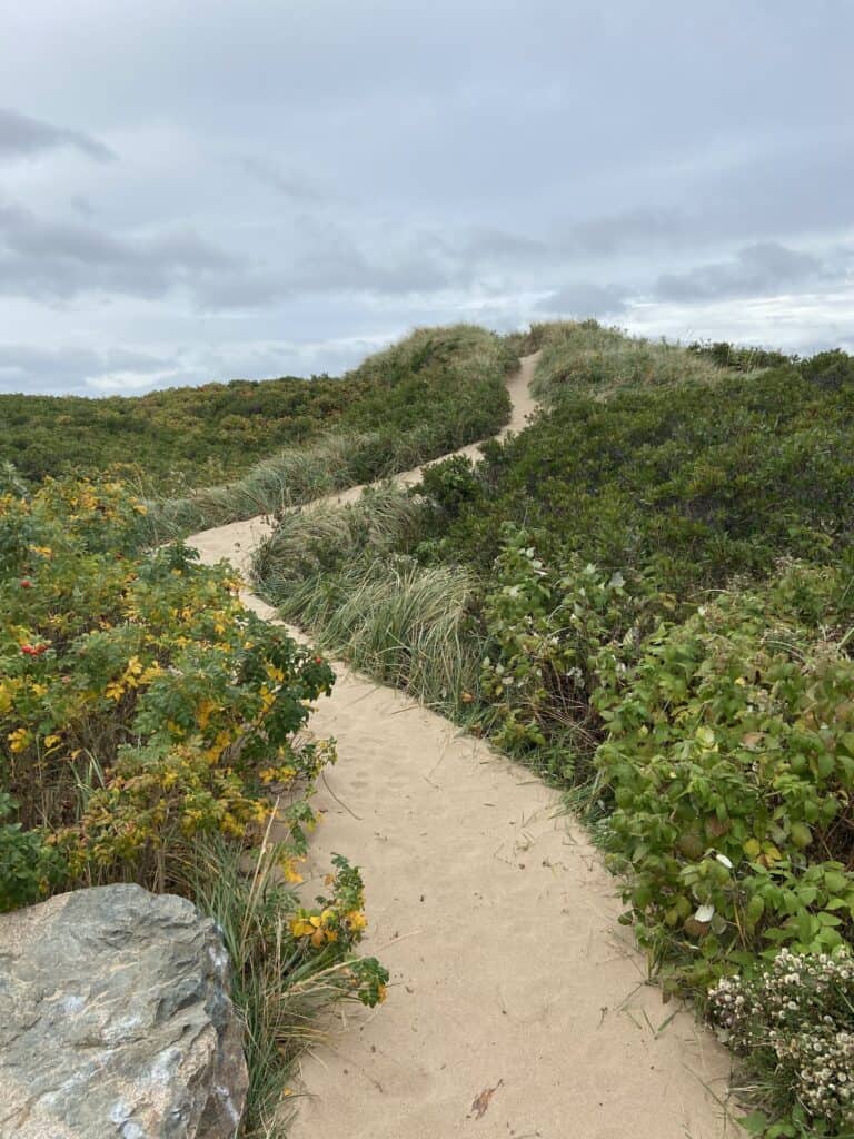 Cheticamp Island, Cabot Trail itinerary, Cape Breton Island, path to the lighthouse