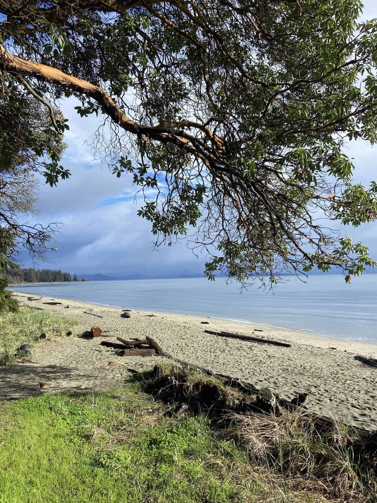 beach at tigh-na-mara in parksville