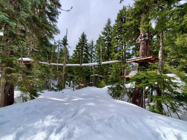 Month in Review: April 2022 11 grouse mountain, bc