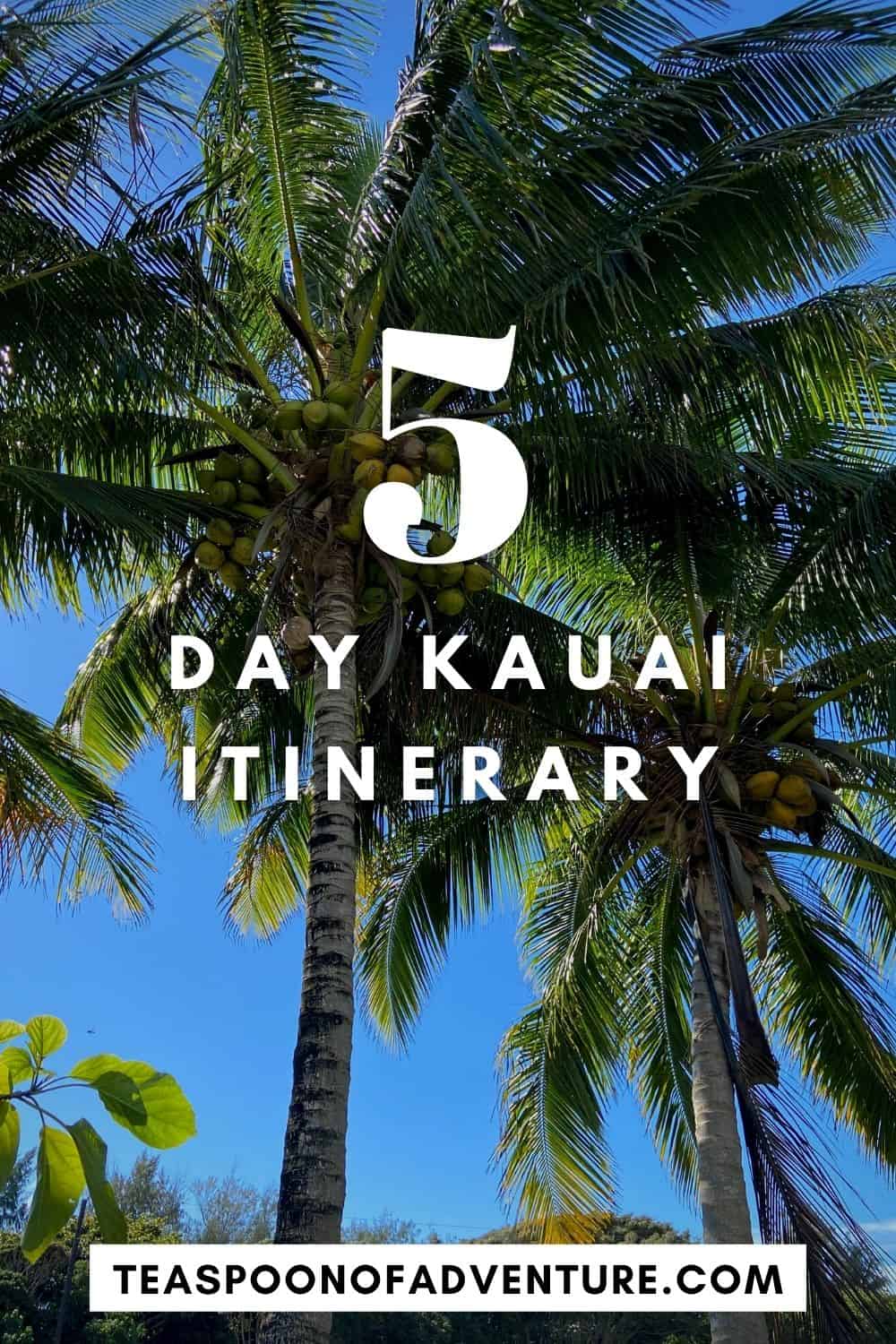 How to spend 5 days in Kauai, Hawaii including fresh poke, beaches, Waimea Canyon and the Na'Pali Coast! #hawaii #kauai #travel #waimeacanyon #island #traveltips #travelitinerary #kauaiitinerary #kauaitrip