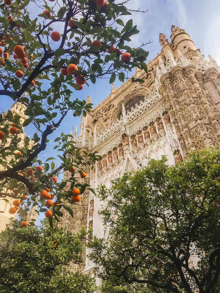 Month in Review: June 2022 10 seville cathedral with orange tree