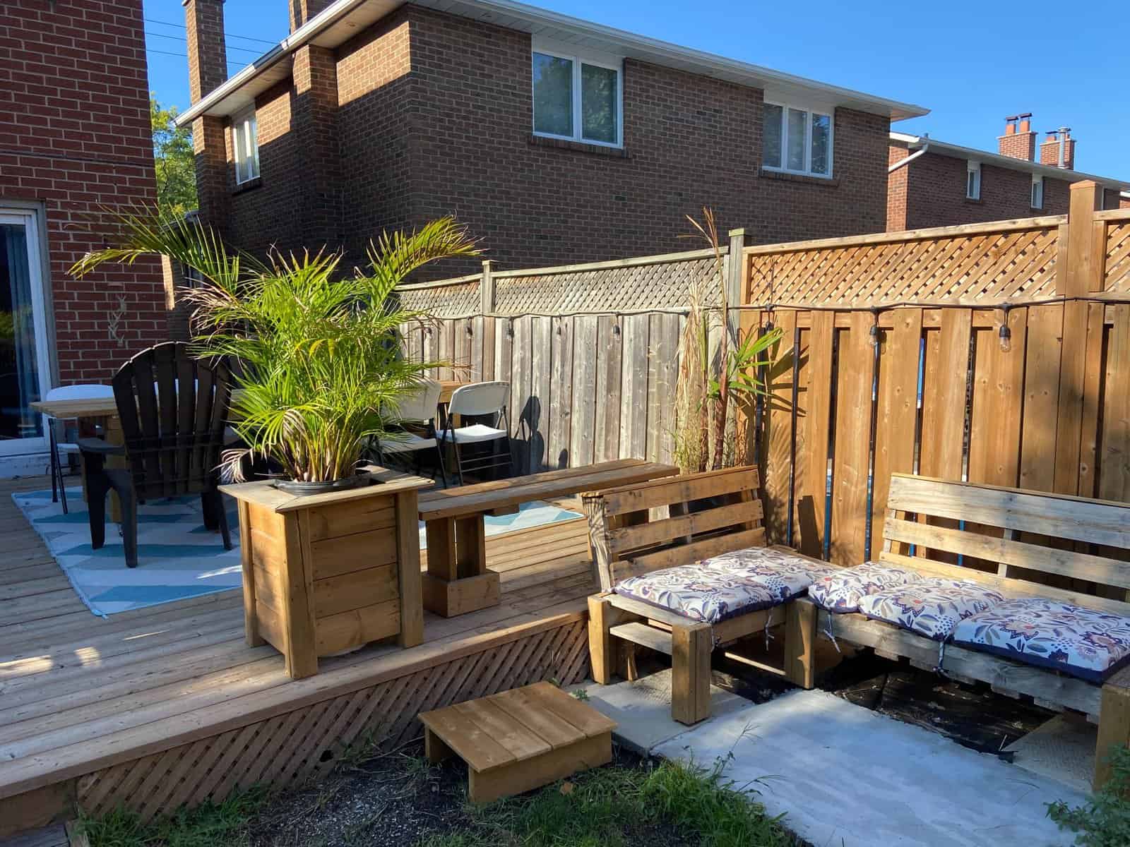 Month in Review: August 2022 17 backyard at dad and ali's house in etobicoke