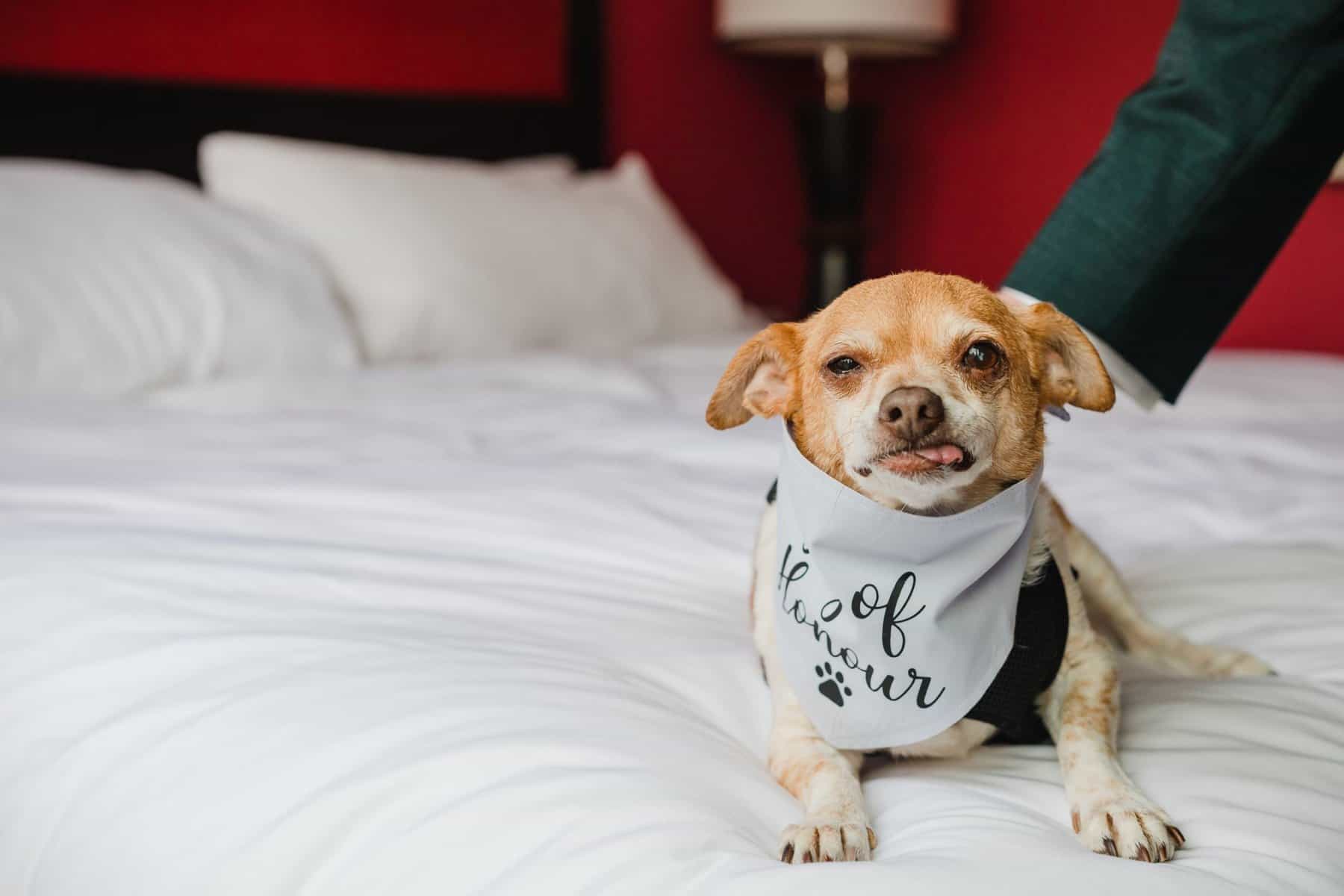 The 15 Best Moments From Our Wedding Day 10 Ellie with her wedding bandana