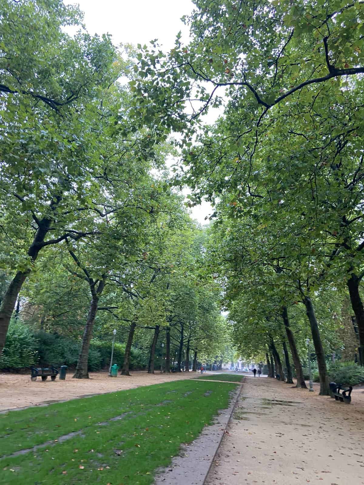 The 16 Best Rainy Day Activities in Brussels, Belgium 31 brussels park, bruxelles, belgium