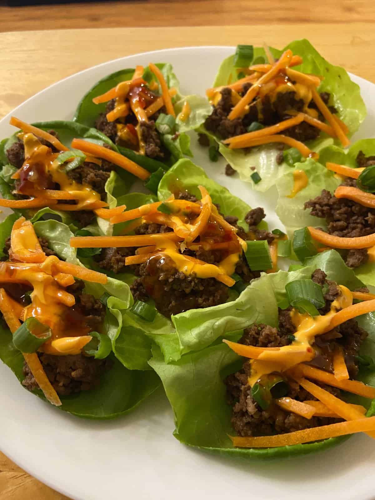Month in Review: February 2023 11 homemade lettuce wraps