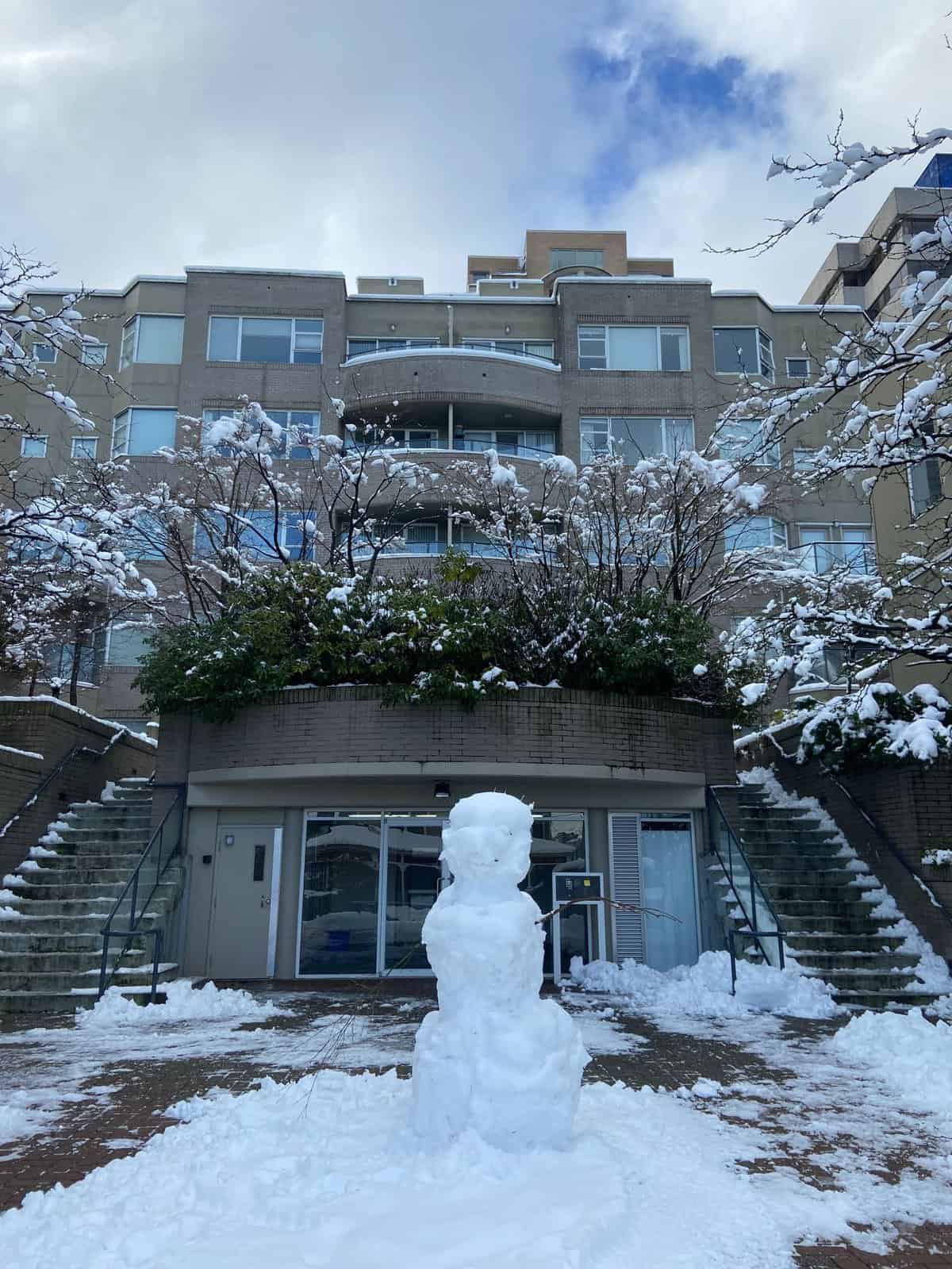 Month in Review: February 2023 5 snowman in vancouver, february 2023