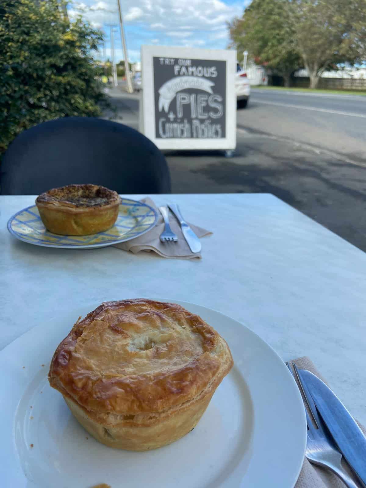 19 Things to Know Before You Plan a Trip to New Zealand 28 Sweet Painted Lady pies in New Zealand