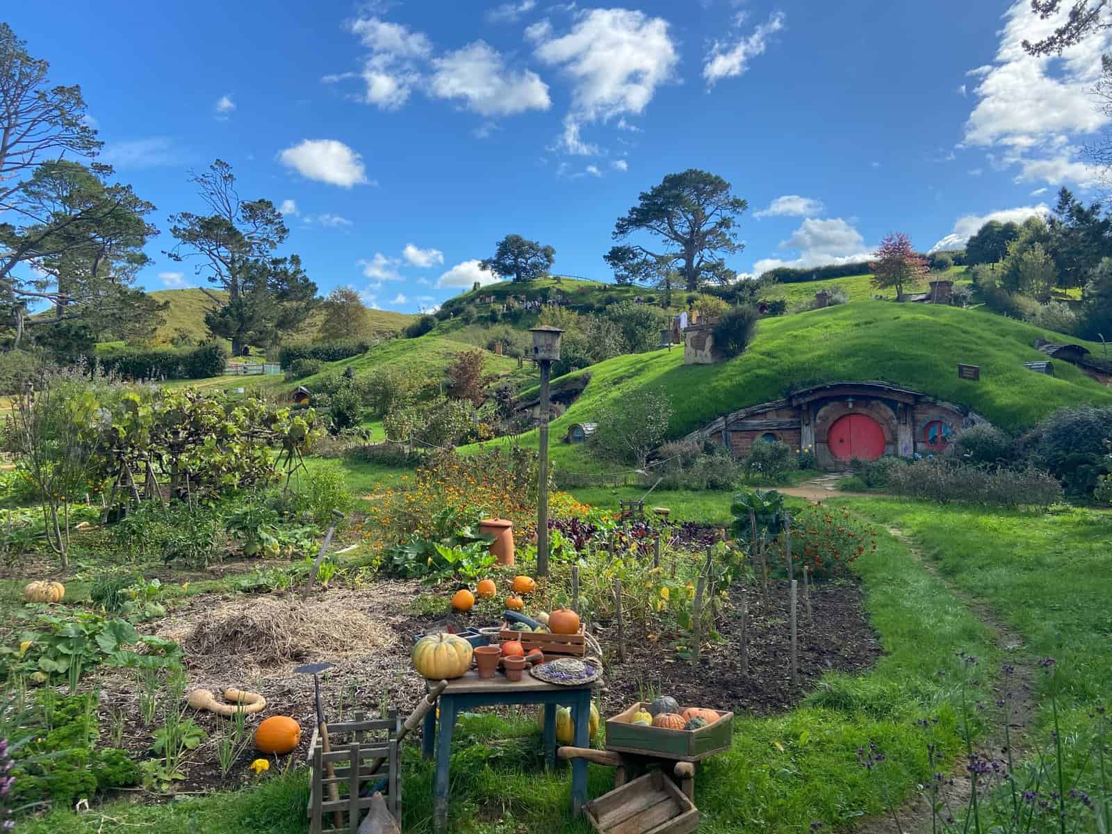 movie set tour of Hobbiton, the Shire, New Zealand