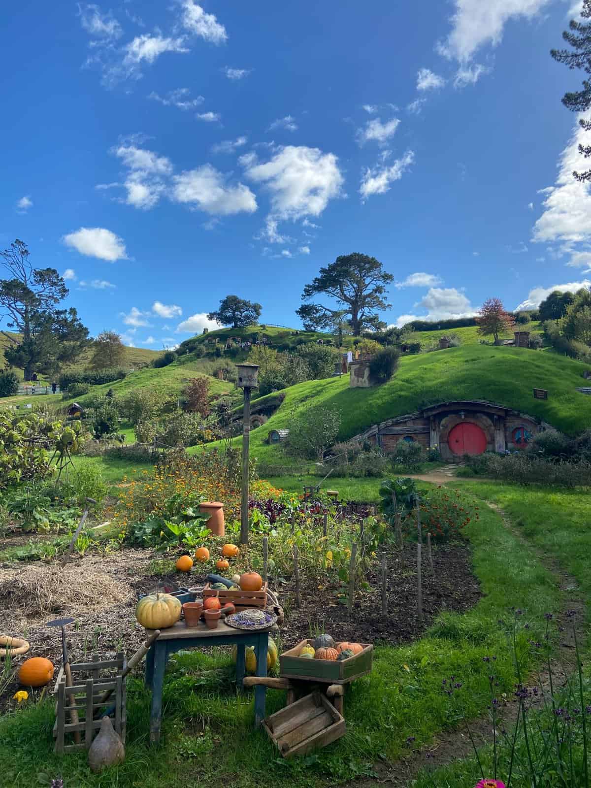 movie set tour of Hobbiton village in New Zealand