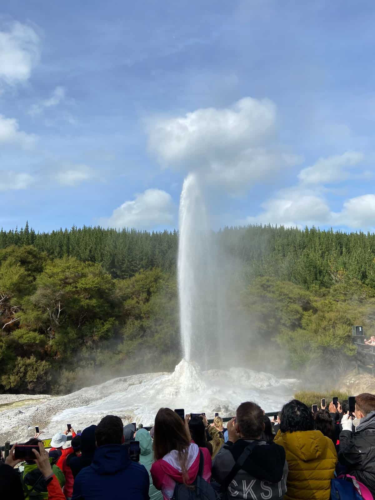 19 Things to Know Before You Plan a Trip to New Zealand 9 Lady Knox Geyser at Waiotapu Thermal Wonderland in Rotorua, New Zealand, tourism in New Zealand