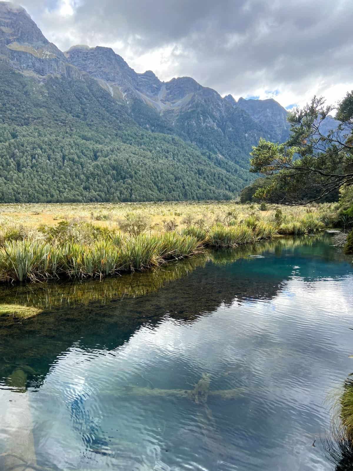 19 Things to Know Before You Plan a Trip to New Zealand 25 Mirror Lakes on the way to Milford Sound in New Zealand