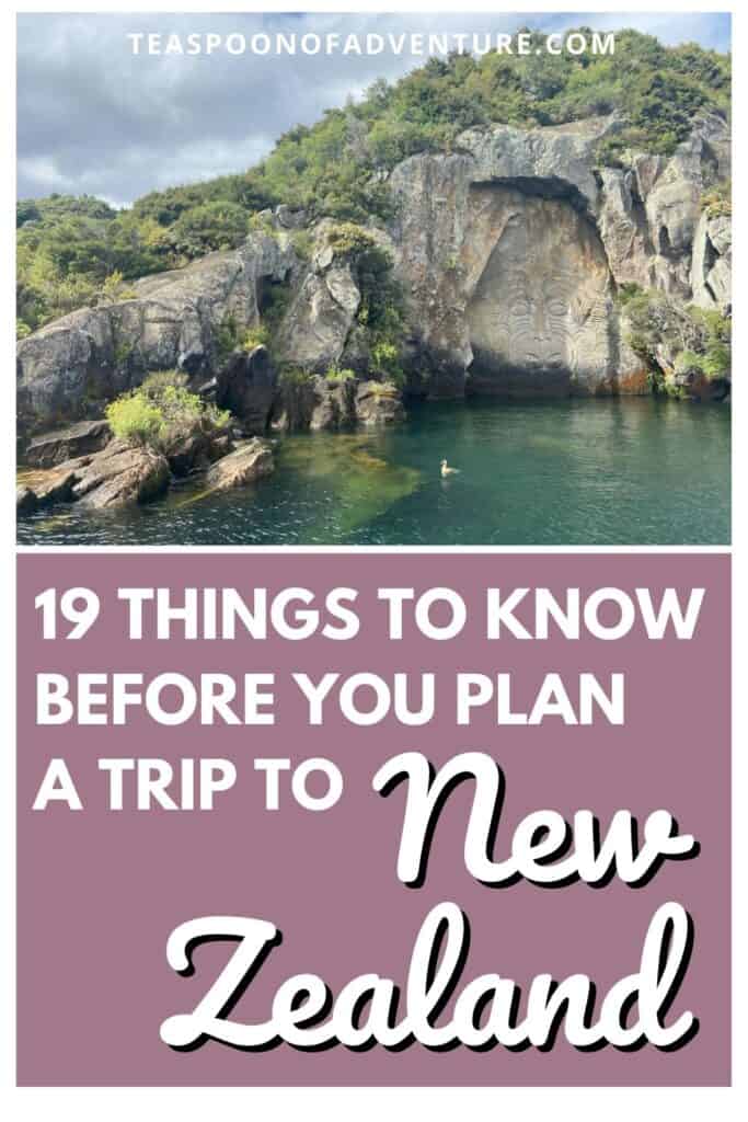 19 Things to Know Before You Plan a Trip to New Zealand 38 19 Things to Know Before You Plan a Trip to New Zealand: Everything you need to know before your travels to New Zealand from visas and budgets to driving and wildlife! #newzealand #travel #traveltips #travelplanning #auckland #queenstown #milfordsound #aotearoa