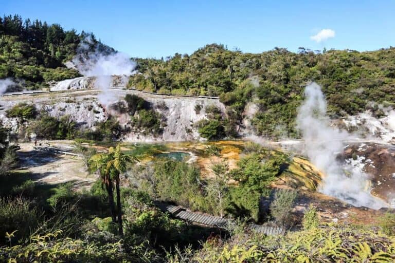 Which Rotorua Geothermal Park Should You Visit?