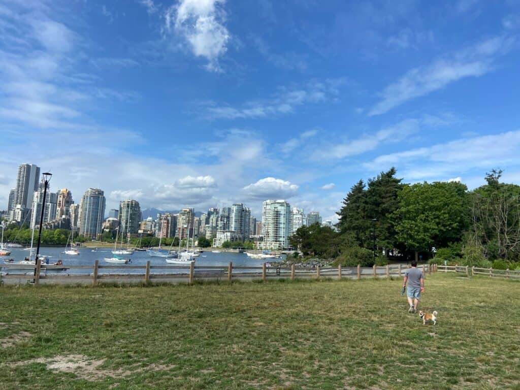 Colin and Ellie at dog park in Fairview, Vancouver overlooking False Creek and Yaletown