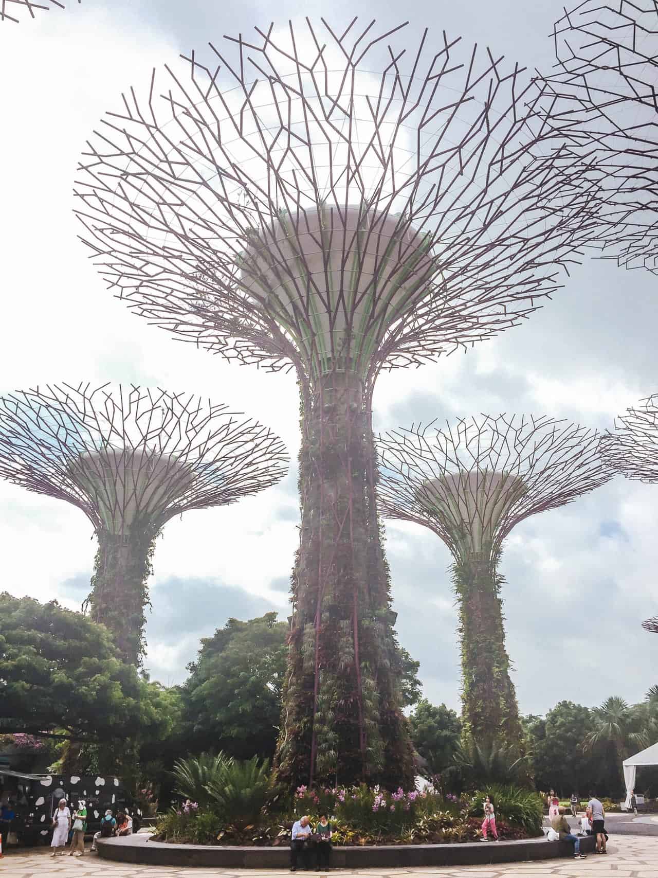 Supergrove trees at Gardens by the Bay in Singapore, Southeast Asia