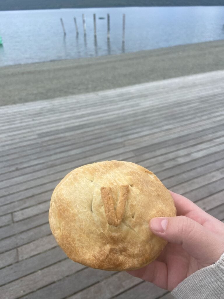 Venison pie from Miles Better Pies in Te Anau, New Zealand