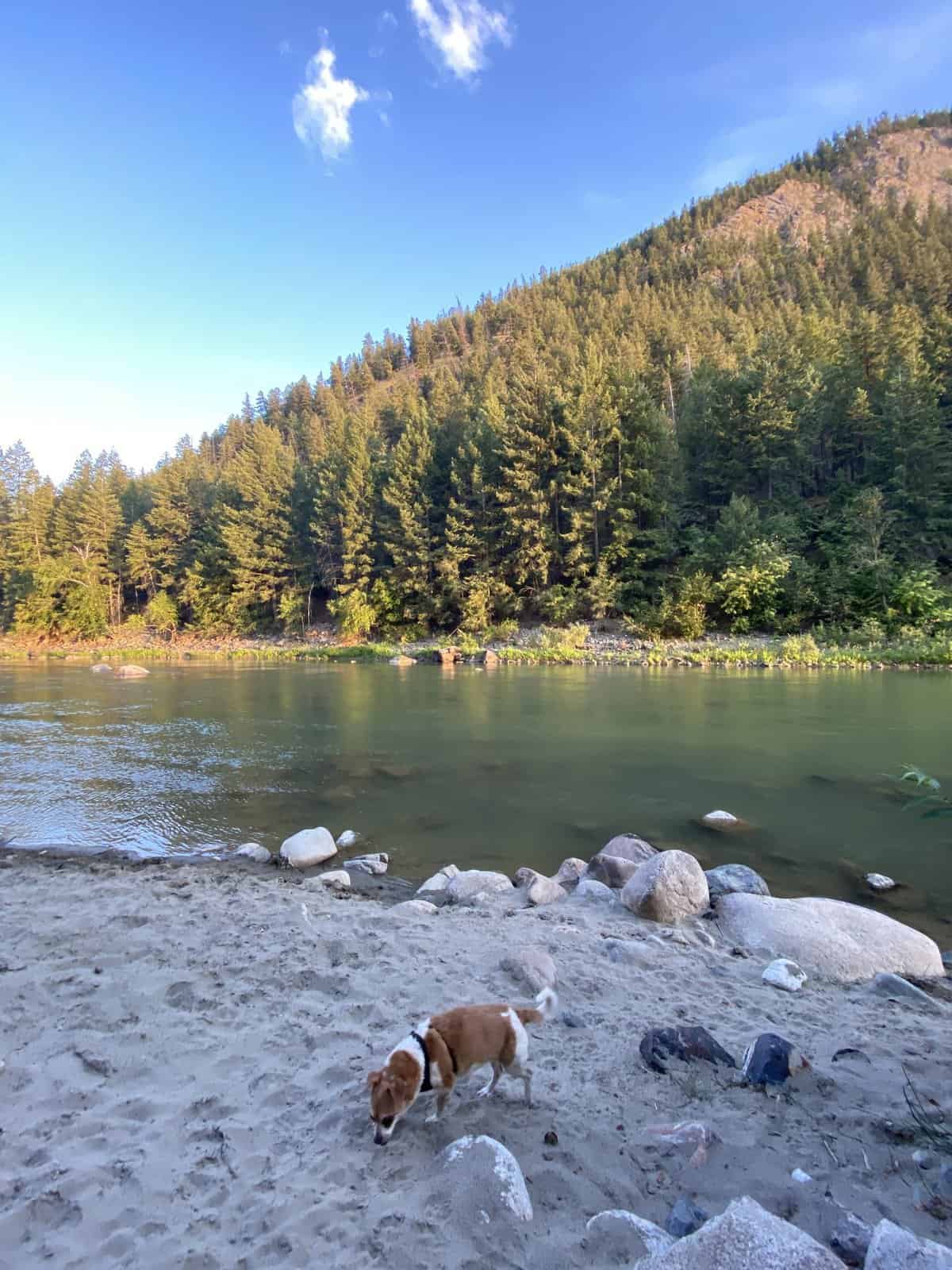 Ellie on the beach during a summer 2023 camping trip to Hedley, BC