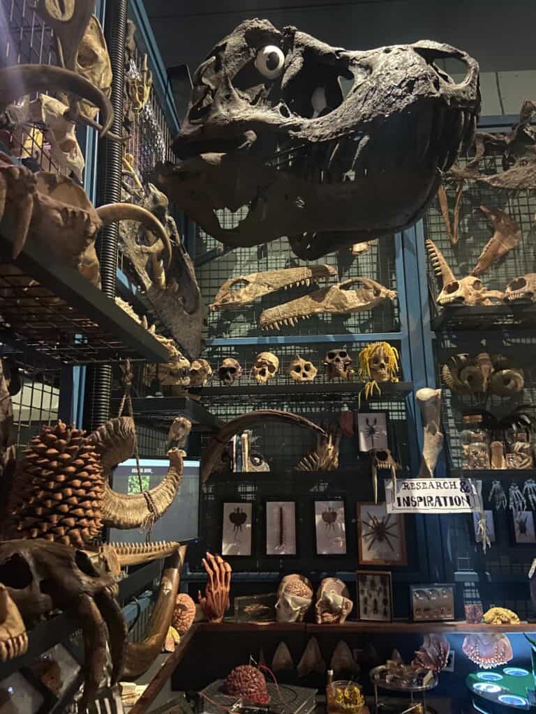 What to Do in Auckland Based on Your Travel Style 11 Monster heads at Weta Workshop Unlimited in Auckland