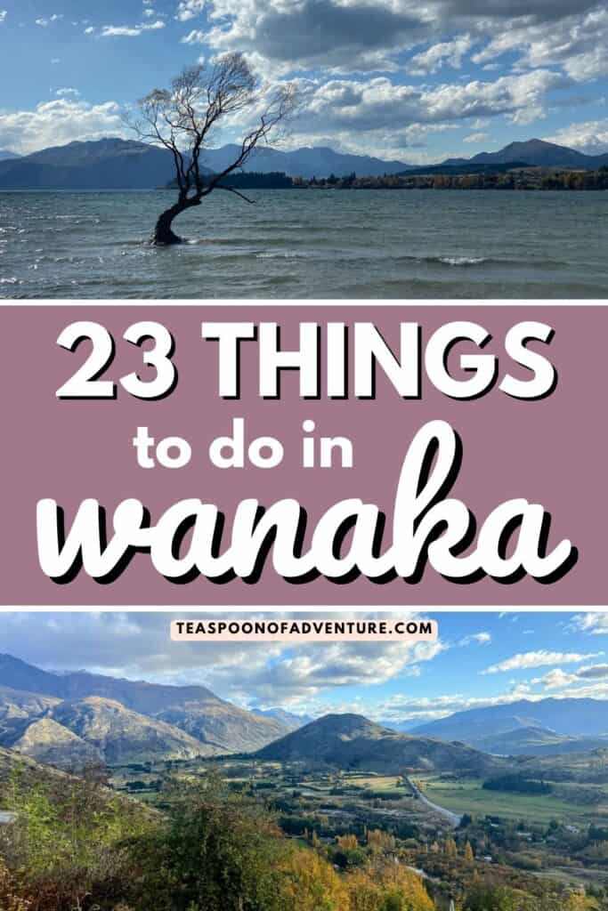 WHAT TO DO IN WANAKA, NEW ZEALAND: Check out 23 things to do in Wanaka besides seeing #ThatWanakaTree and hike Roy's Peak! #wanaka #newzealand #travel #travelitinerary #traveltips #itinerary