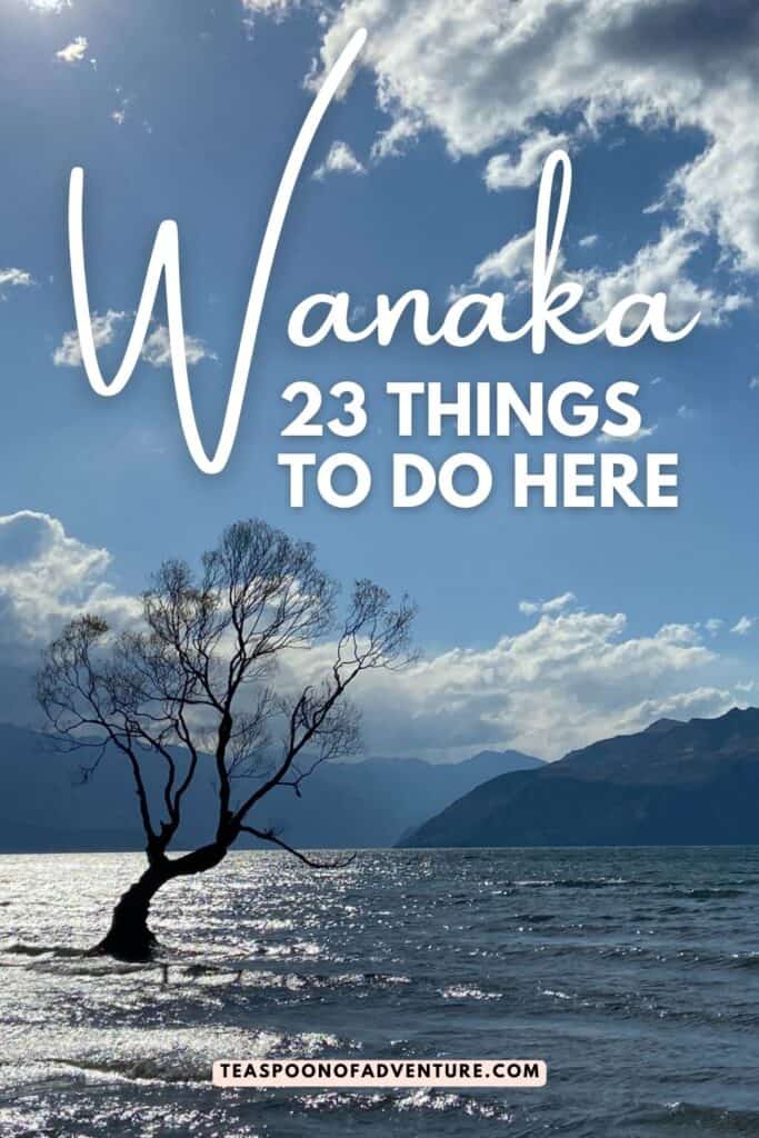 WHAT TO DO IN WANAKA, NEW ZEALAND: Check out 23 things to do in Wanaka besides seeing #ThatWanakaTree and hike Roy's Peak! #wanaka #newzealand #travel #travelitinerary #traveltips #itinerary