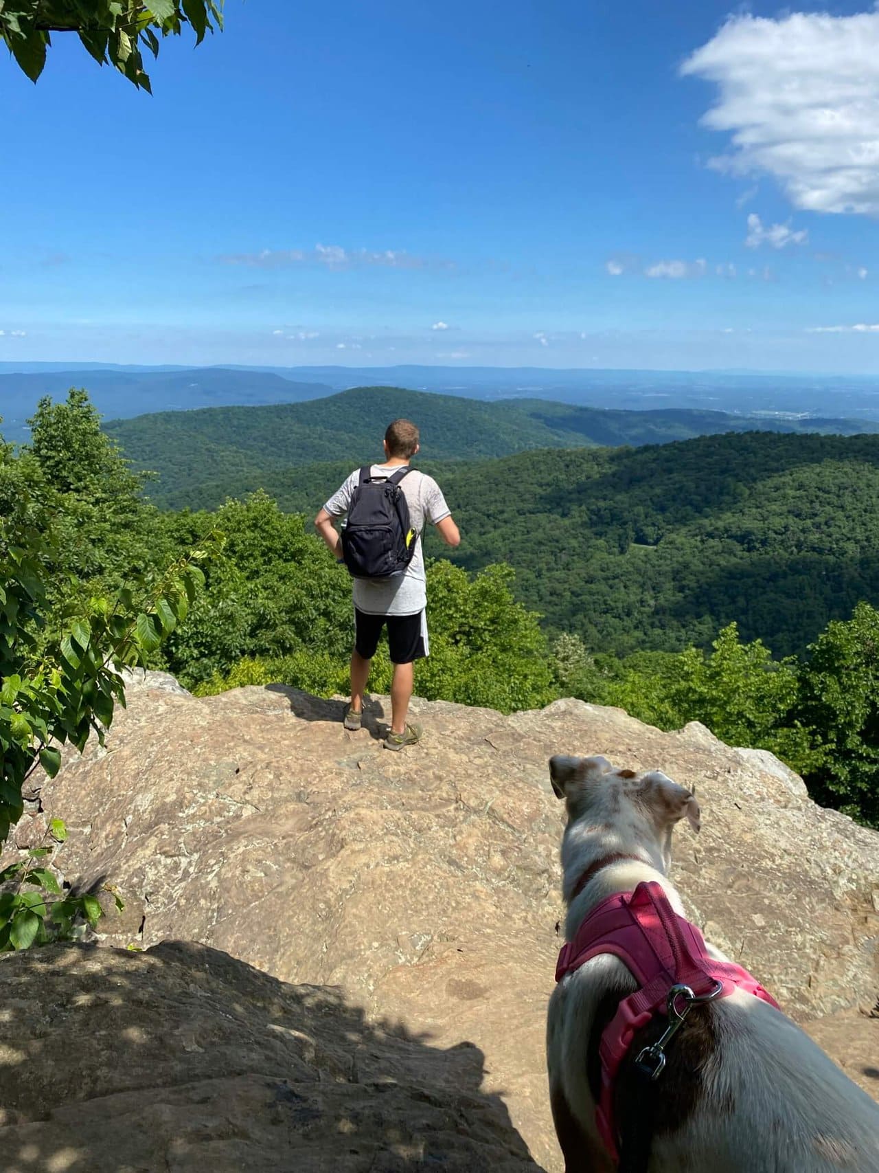 Traveller of the Month: Paul from Paul Passing Through 3 Paul and dog hiking and looking out at the views