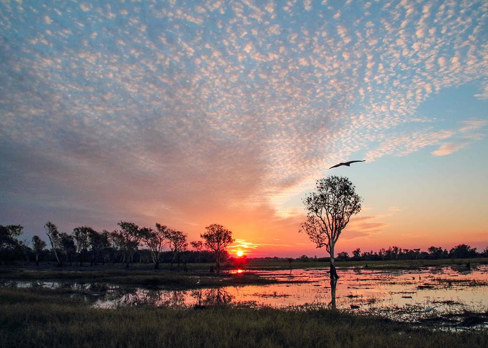 Traveller of the Month: Saskia from Sas Crossing Countries 4 Saskia in Kakadu NP Australia at sunset