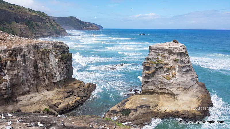 Traveller of the Month: Elena from Travel Captures 2 Ocean and cliff faces in New Zealand, photo by Elena from Travel by Example
