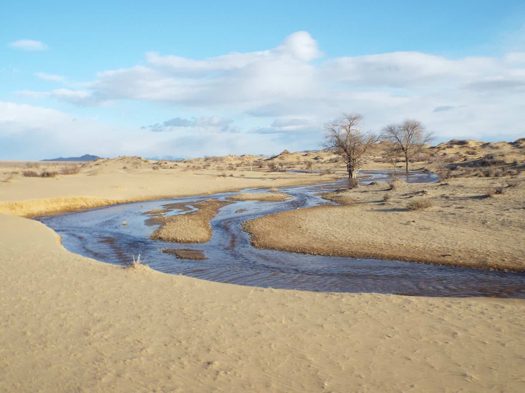 Travellers of the Month: Mitch and Colin from Very Tasty World 8 Gobi Desert in Mongolia by Very Tasty World