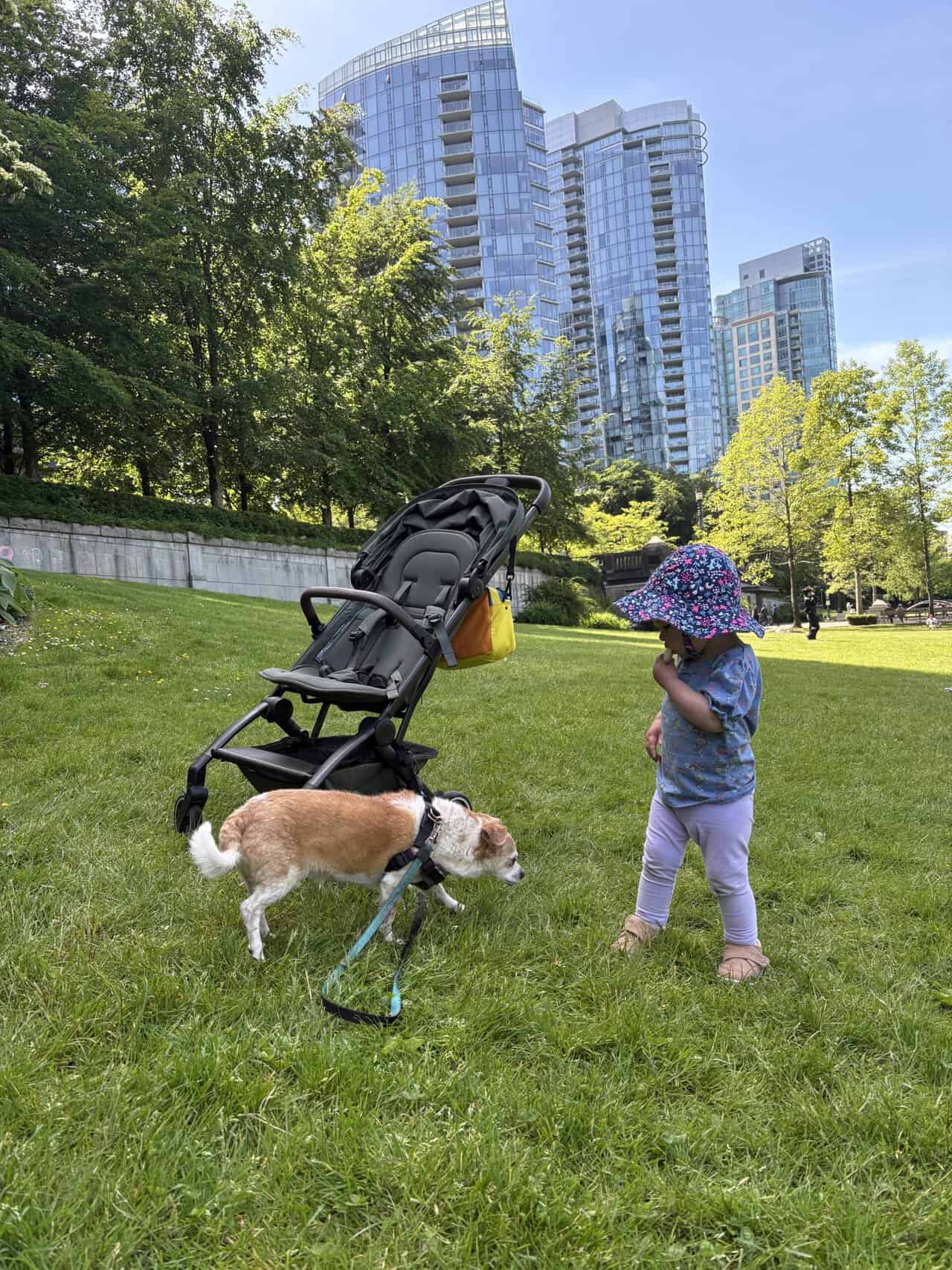 Joolz Aer Review: Is This the Best Travel Stroller? 15 Baby C and Ellie on a grass field along the Vancouver Seawall with her travel stroller behind them