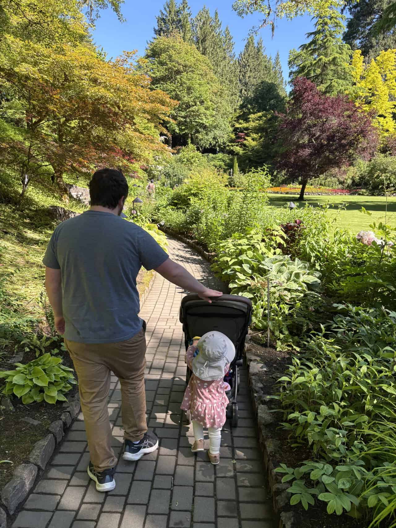 Baby C pushing her stroller with Colin along a trail in Butchart Gardens, Vancouver Island