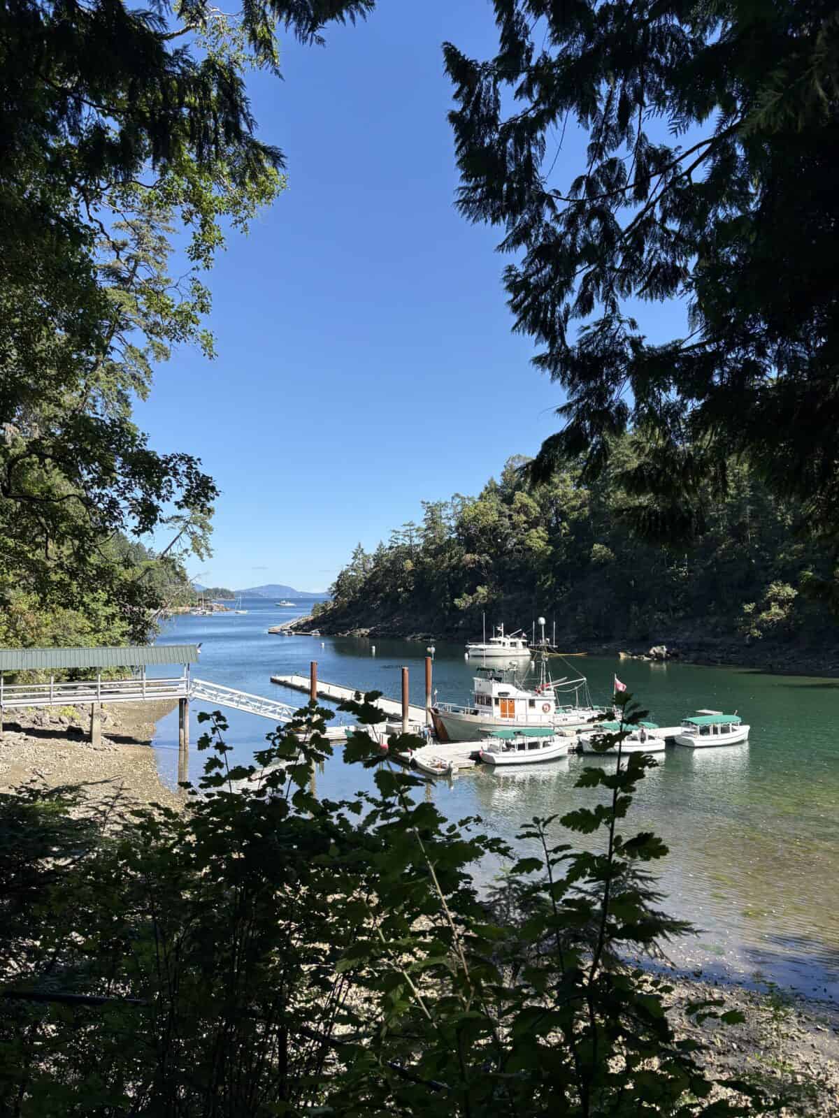 Butchart Cove boat dock behind the trees at The Butchart Gardens, BC