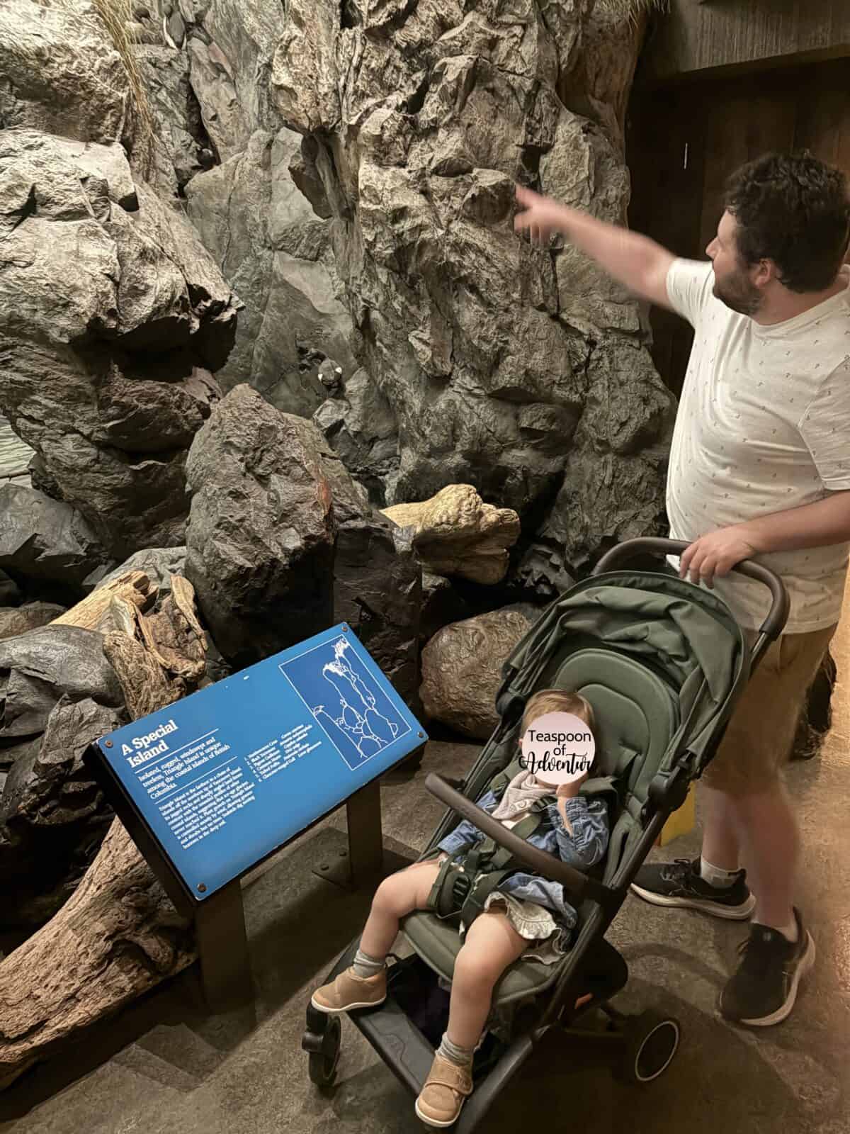 Colin pointing to an animal on display at Endless Sea, Royal BC Museum