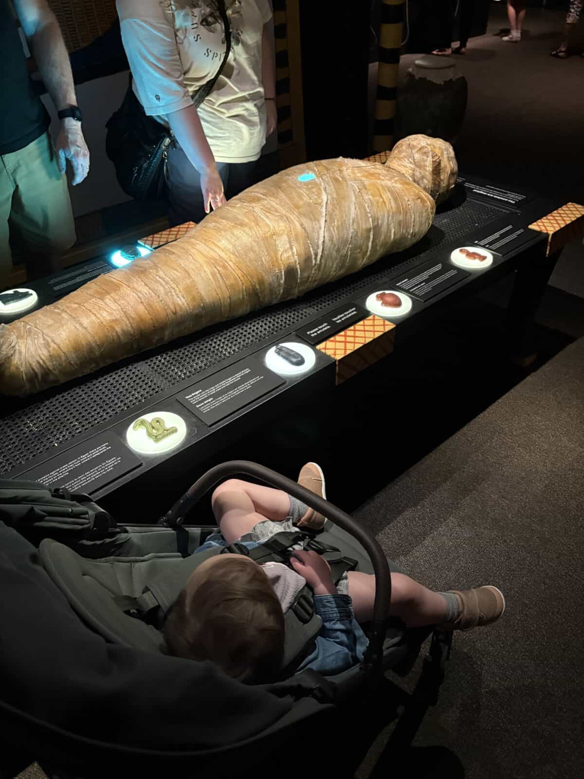 C in her stroller in front of an interactive mummy display in the Ancient Egypt exhibition at the Royal BC Museum