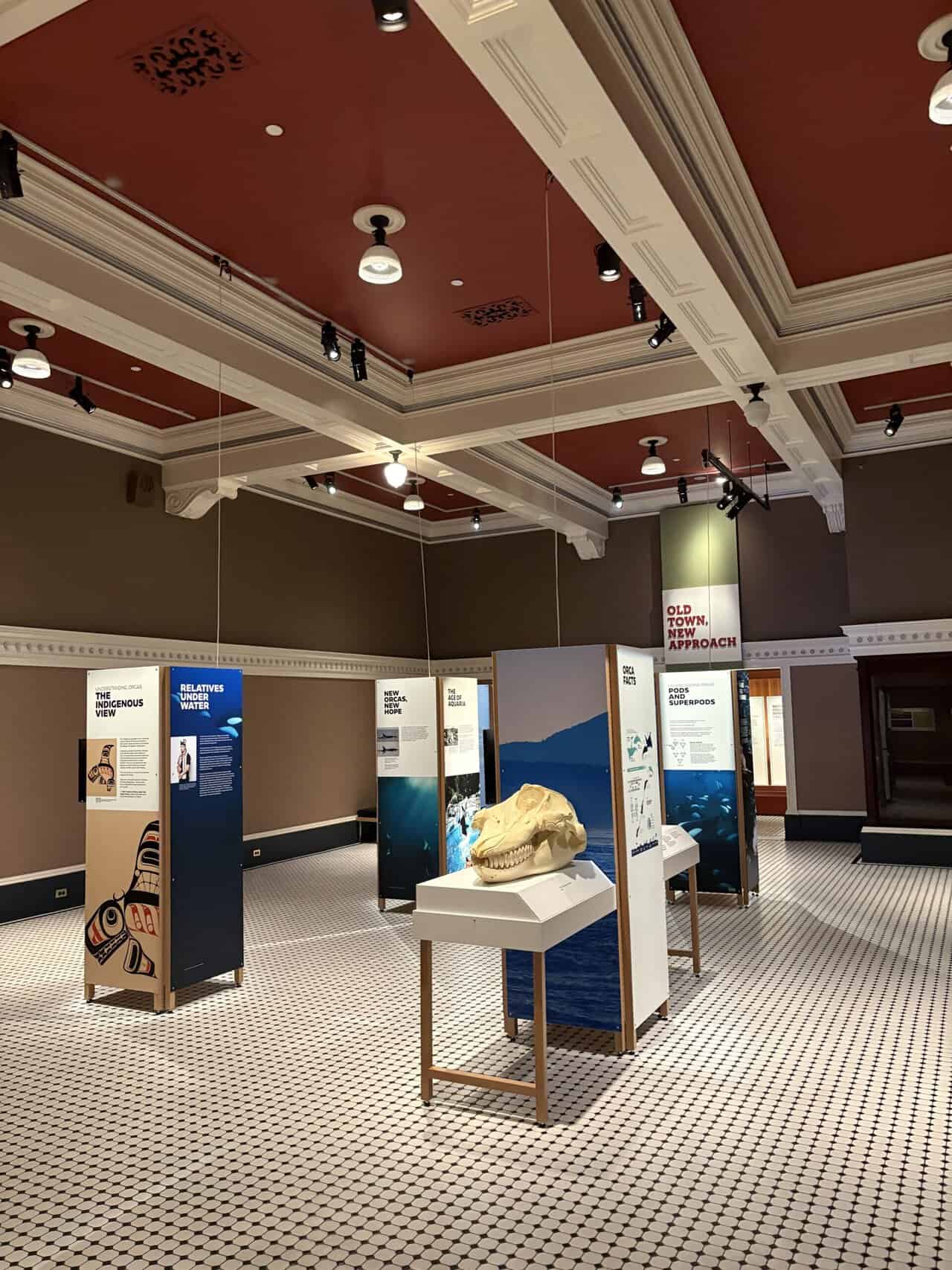 Orcas: Our Shared Future exhibit at the Royal BC Museum