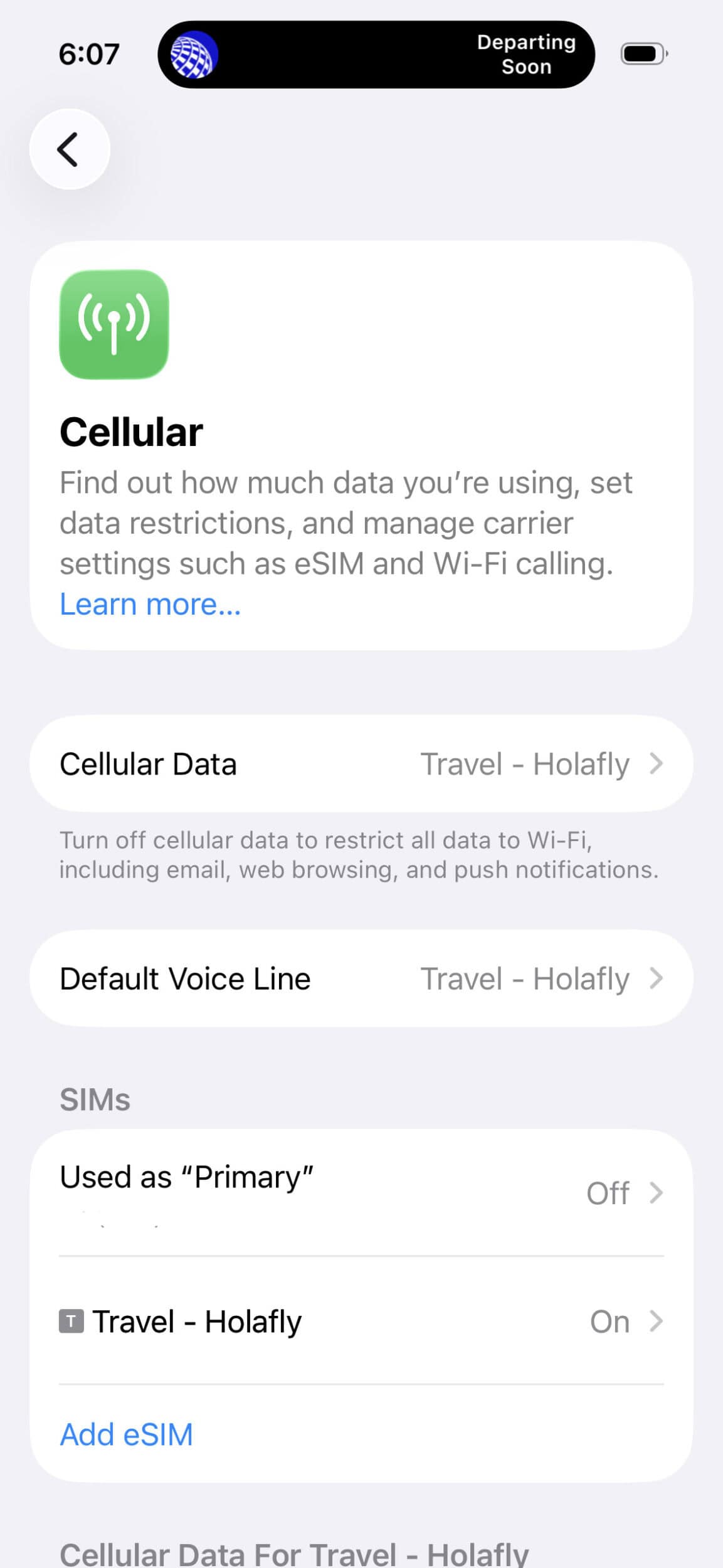 How to Set Up Your Holafly eSIM 13 Screenshot of my Cellular settings on my phone showing my Holafly travel eSIM turned on