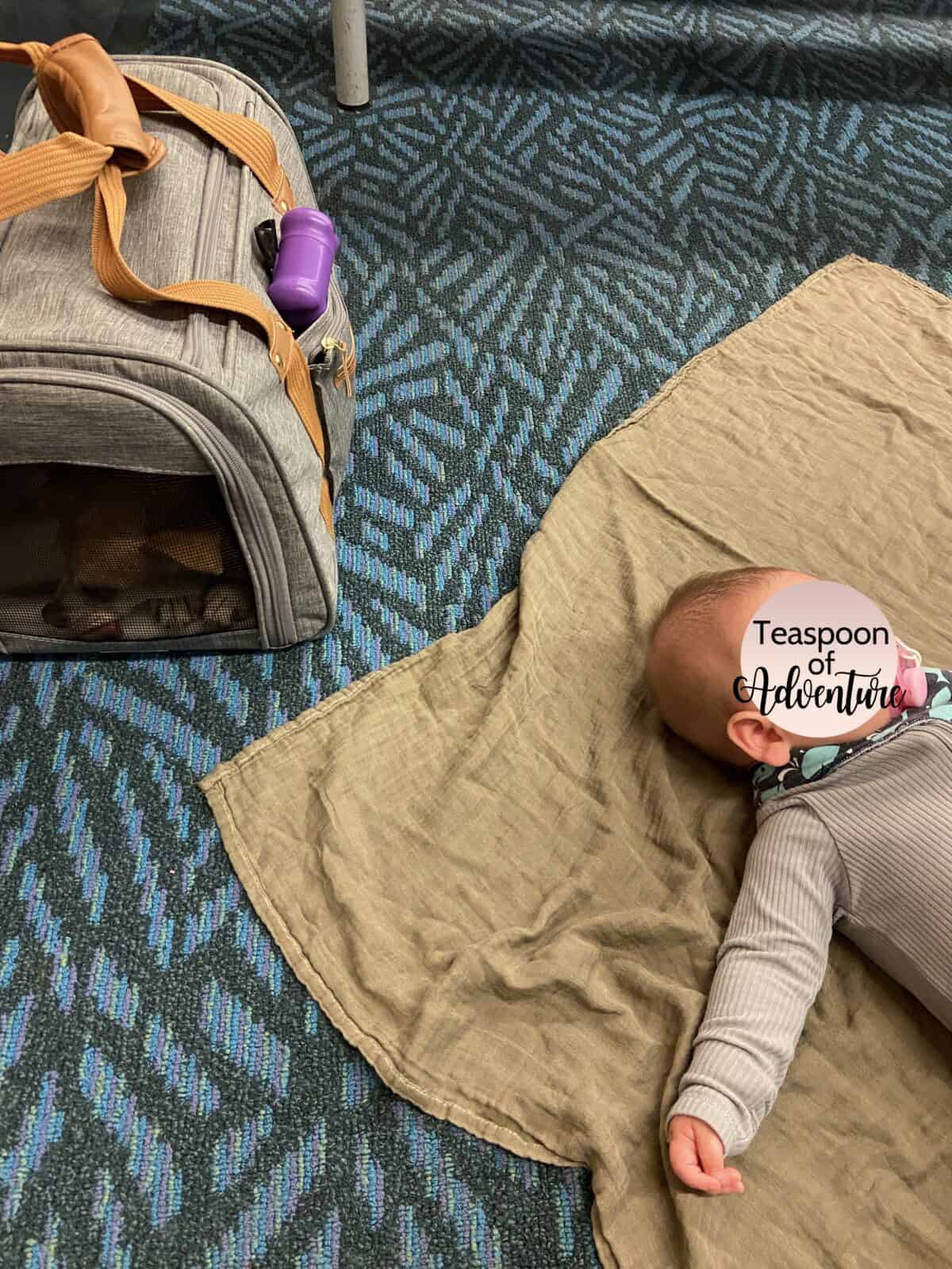 Tips for Flying With a Baby: From Booking to Baggage Claim 32 Baby C lying on a blanket next to Ellie in her dog carrier on the floor at YVR Airport